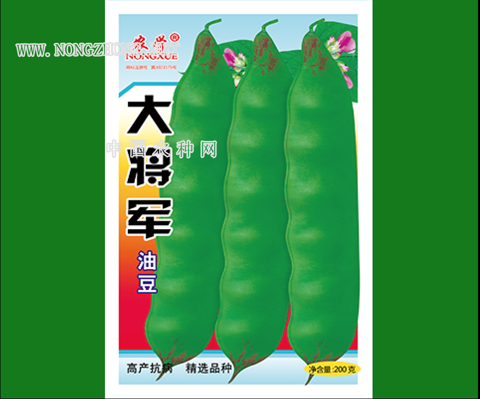 大将军油豆
